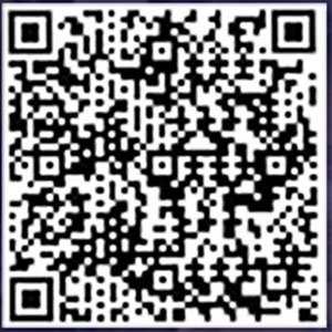 UPI QR Code